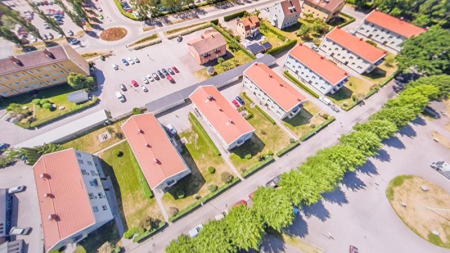Fågelvy