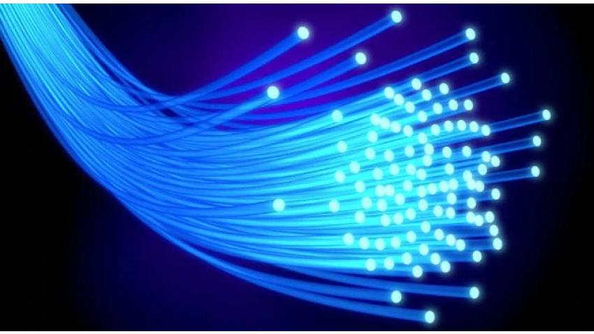 Fiber